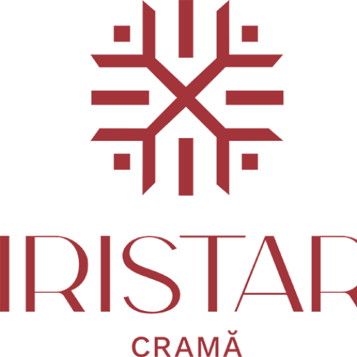 Pensiunea Iristar Falticeni. Cazare pensiuni din Suceava logo